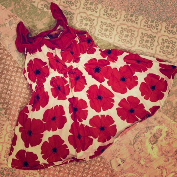 Gymboree Other - Poppy Fields Dress